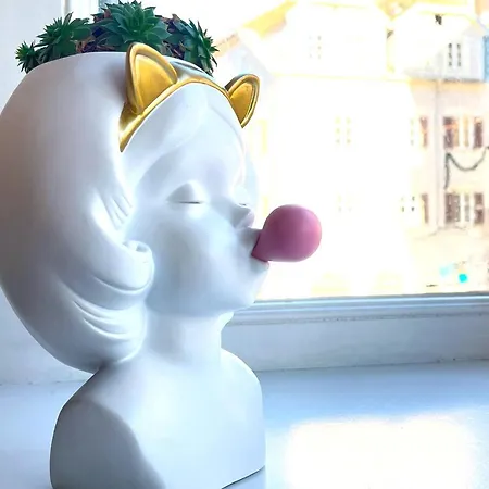 Apartman Rosa With Parking Historic Center